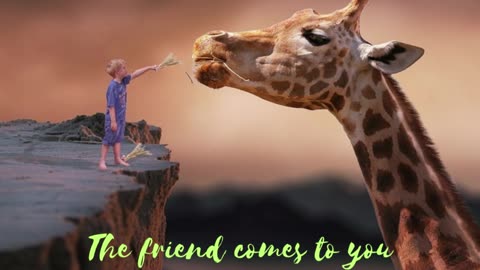 The friend comes to you wherever you are