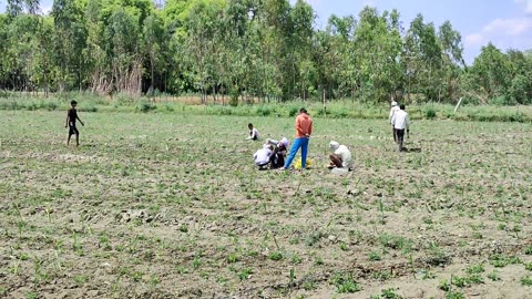 Life Of Poor People Of India Uttar Pradesh {} Indian Village Life {} Rural Life India