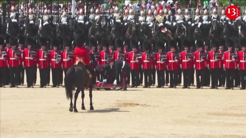 MOMENT: Royal guards collapse in heat as Prince William inspects rehearsal
