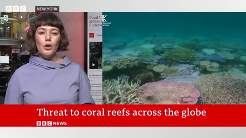 Corals turning white and dying after recordheat, say scientists | BBC News