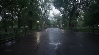 Binaural Rain Umbrella, Walking in the Rain, Central Park New York, and Nature Sounds for Sleep