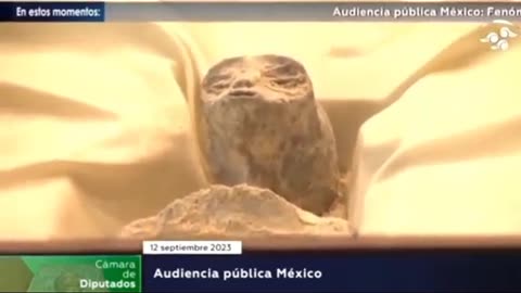 MEXICO UFO Congressional Hearing reveals 2 ALIEN BODIES?