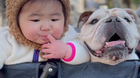ofinstagram #dogsofinstagram #babyanddog #dogandbaby #赤ちゃんと犬 #犬と赤ちゃん #baby #girl #犬のいる暮らし #instagram #令和5年ベビー #2月生まれベビー #japan #fashion #ベビス