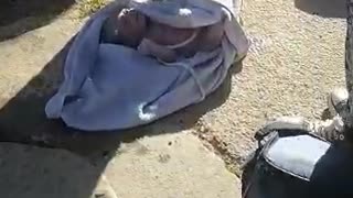 Newborn baby rescued from a drain