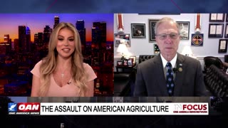 IN FOCUS: Rep. Brian Babin (R-TX) on the Radical Left-Wing War on Agriculture
