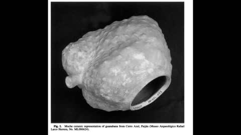 Alt-Tech 139 Annona Domestication