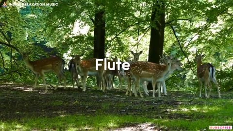 🔴No copyright Relaxing Flute Music | Krishna Flute Music | Uplifting Flute Meditation Music