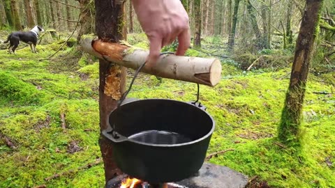 Lemon Crunchy Chicken cooked in the middle of the forest. ASMR cooking. NO TALK