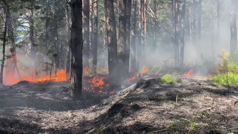 Are Wildfires Getting Worse We Asked a NASA Scientist