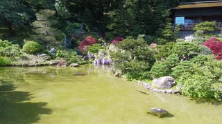 Hakone Estate Garden