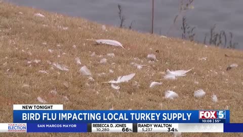 Bird Flu Impacting Local Turkey Supply
