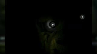 Questions About The FNAF 3 Teaser