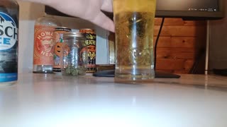 Busch Ice beer review