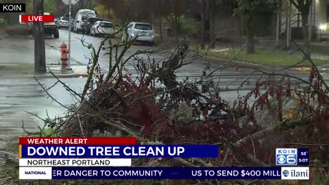 Crews clean up downed trees in Portland metro as storm slams region
