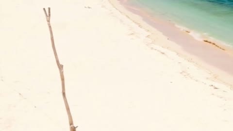Secret Beach in the Pacific Islands