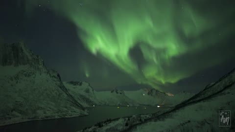 The aurora chase on Senja island - real-time northern lights