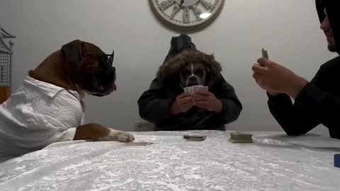 These Dogs Act Like Humans