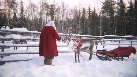 Santa Claus & reindeer_ departure of Father Christmas from Lapland Finland - Message Merry Christmas