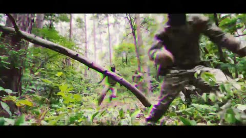 Freedom of Russia Legion is training in the forest