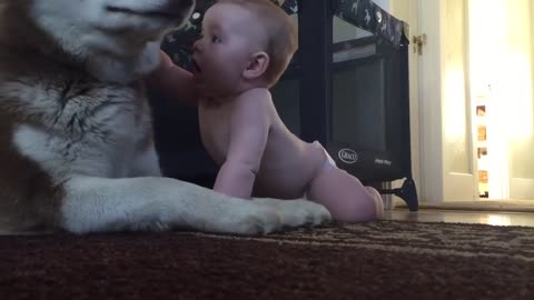 Baby and dog show love for one another