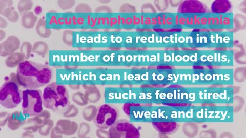 Acute Lymphoblastic Leukemia Symptoms And Solutions