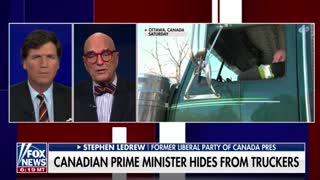 Former Liberal Party of Canada President Stephen LeDrew tells Tucker Carlson