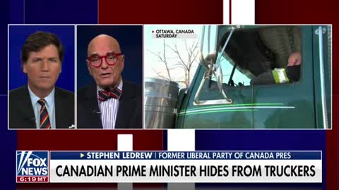 Former Liberal Party of Canada President Stephen LeDrew tells Tucker Carlson