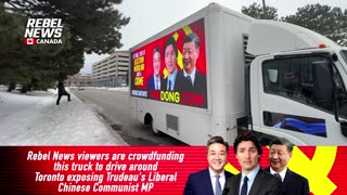 Liberal MP Han Dong Must Go! Help us spread the message!