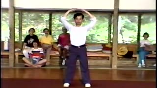 Wild Goose Qi Gong with Paul Li ( 7 15 91)