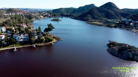 A Burst of Green in our little piece of heaven. Hidden Valley | Lake Sherwood | Westlake Village