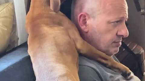 Puppy Cleans Bald Head