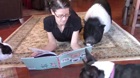 Mascotas se sientan pacientemente alrededor de su dueña para que les lea un cuento