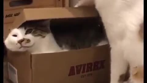 packing a gift