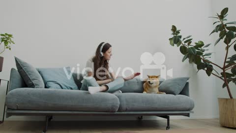 Girl Plays With Her Dog On The Sofa