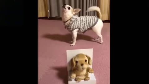 Super Cute Doggy Imitates Toy - MUST WATCH!!!