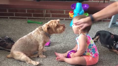 Cutest Babies Play With Dogs And Cats Compilation