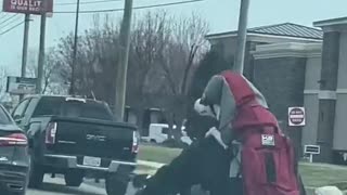 Dog Rides with Owner on Motorcycle