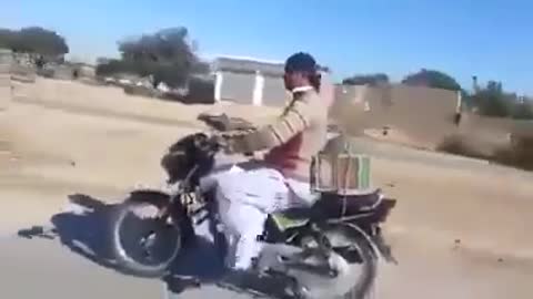 Racing pigeons follow their owner on the motorcycle