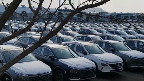 hyundai motor car company ,,,,,vehicle yard in south korea....