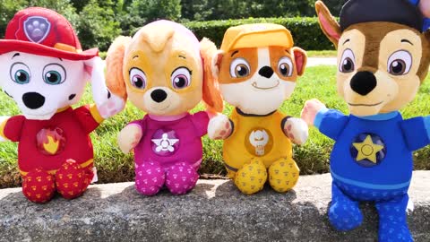 Paw Patrol ¡Ve a nadar en un día caluroso y aprende sobre el dinero y la responsabilidad!