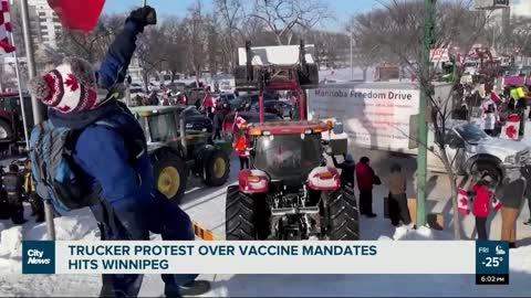Trucker protest rolls into Winnipeg