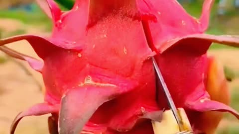 Cutting fruits satisfying video , what's your favourite fruit