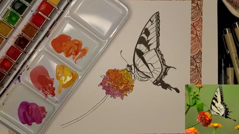 Butterfly Speed Paint