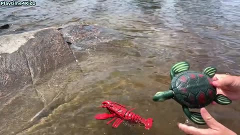 Sea Animal Toys