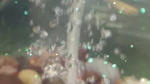 Water bubble in aquarium