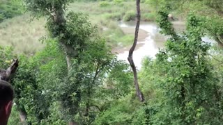 Exploring Bardiya National Park | Wildlife Enthusiastic