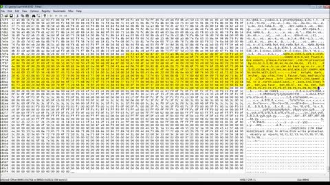 Examination of DOS Game Files With Hex Editor