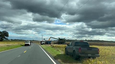 loading corn