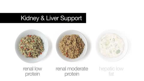 Support Diets For Dogs: Kidney & Liver Support | JustFoodForDogs
