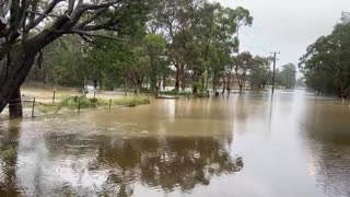 Sydney: East Coast Low 03/03/2022 - Update 2